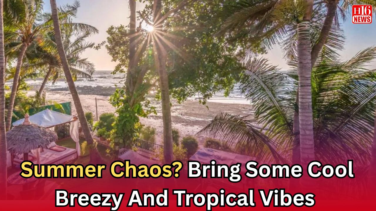 Summer Chaos? Bring Some Cool Breezy And Tropical Vibes